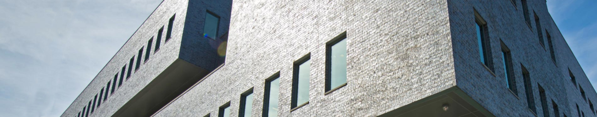 Build Strong Leaders